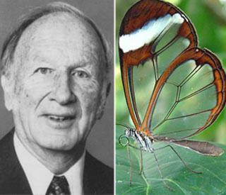 <b>Edward Lorenz</b> en zijn vlinder - lorenzvlinder