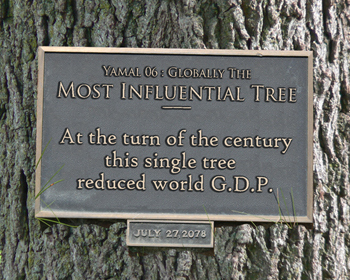 most-influential-tree-3501