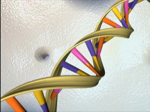 DNA_Double_Helix_by_NHGRI