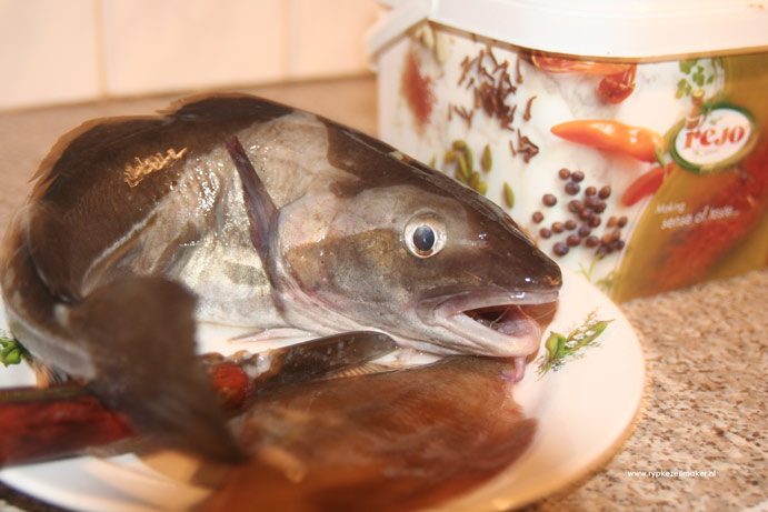 Een vis (hier wijting) villen en eten is één van de essentiele vaardigheden van ons lespakket biologie