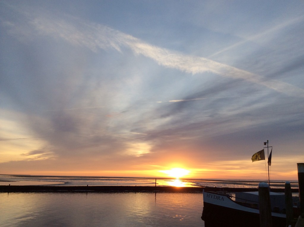 Vanochtend in haven West: een heerlijke turbinevrije rustgevende horizon