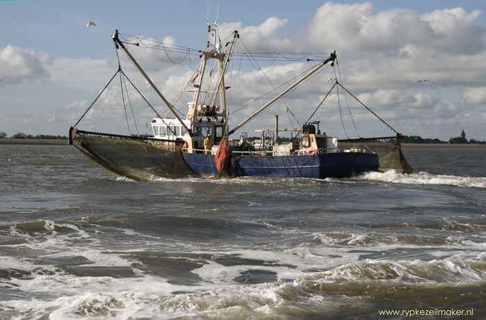 CVO maakt garnalenvissers tot loonwerkers voor VB en Mattthijs van de Ploeg