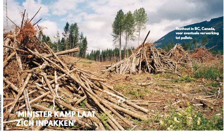 Energieakkoord overheid/milieubeweging schadelijk voor bossen