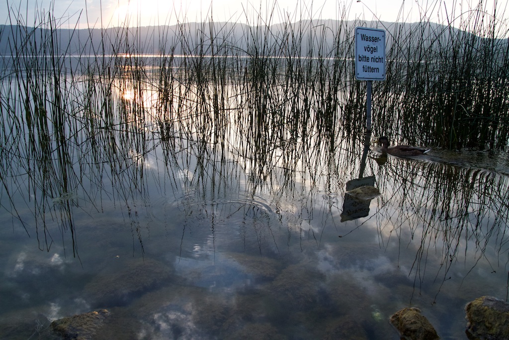 Laacher See, met kringetjes in het water door opborrelend CO2
