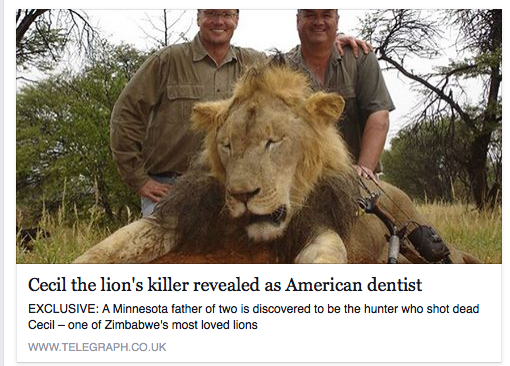 Wat maakt 1 leeuw zo bijzonder om de jager de dood in te wensen?