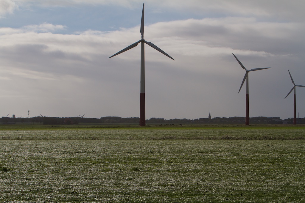 Met windturbines blijft grasland voor koeien over, die bij zonnefarms verdwijnt