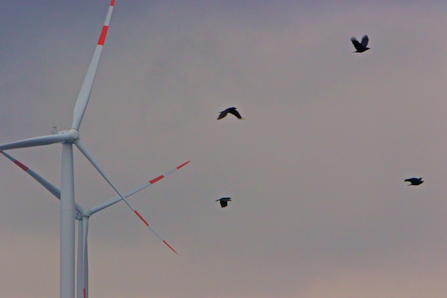 Windturbines draaien niet vanwege 'het klimaat' of de energie, maar om het politieke machts-evenwicht te bewaren