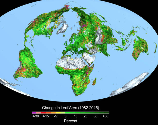 Een spectaculair groenere aarde dankzij de verrijking van de atmosfeer met groeikasgas CO2
