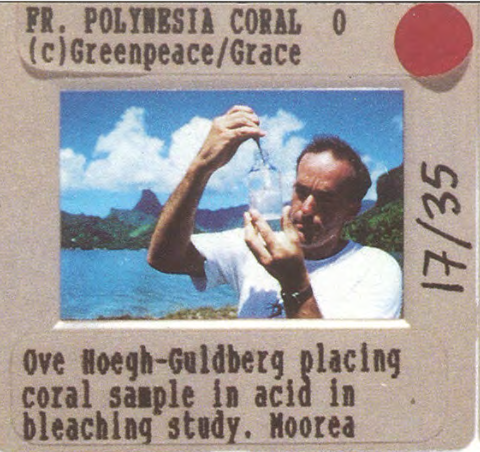 Koraal-alarmist Oeve Hoegh Gouldberg hielp Greenpeace in 1994 al met de constructie van haar aardegeschiedenis, waarin alles naar de sodemieter gaat en fondsenwerving voor Greenpeace noodzaakt