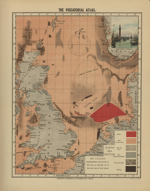 Han Lindeboom wil de Noordzee van 1883 terug, EN tegelijk wil hij de zee volzetten met (impactstudies voor Imares) windturbines