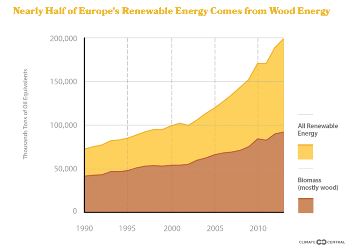De helft van het Europese 2020-doel wordt gehaald met het stoken van bos