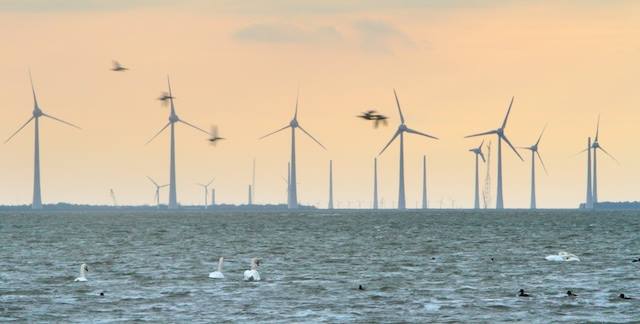 Sfeerimpressie Waddenzee 2020 tussen Kornwerderzand en Wieringen met Windpark Fryslan van milieucrimineel Anne de Groot