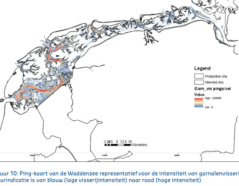 In Westelijke Waddenzee-geulen hoogste visserijdruk, overlapt met zandwinning/baggerwerk