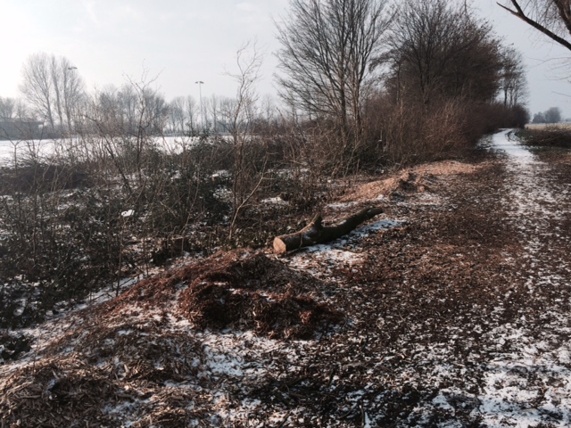 Mijn gemeente De Friese Meren zaagt ook alle dorpsgroen stuk, dat hout verpatsen ze ondermeer aan biomassacentrales