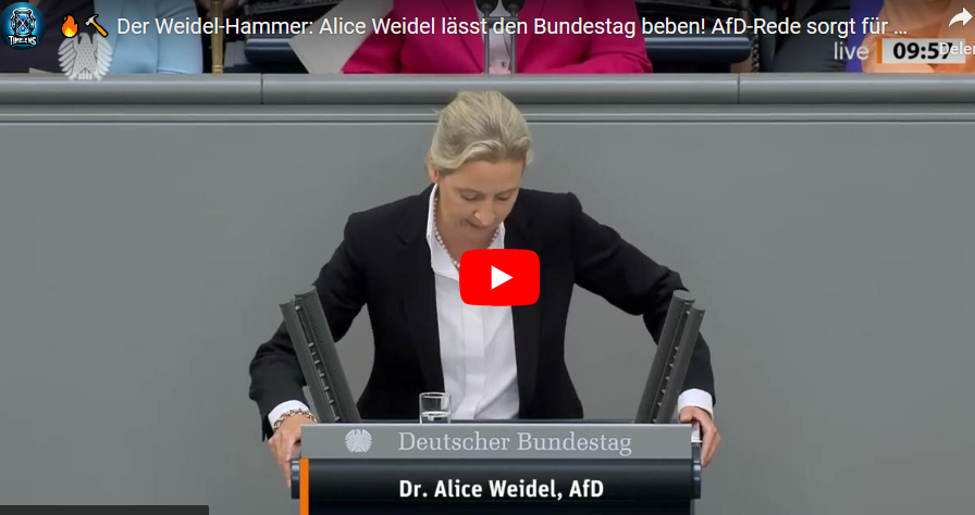 Weidel AFD