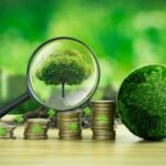 Tree,In,Magnifying,Glass,And,Green,Globe,Green,Business,Ideas