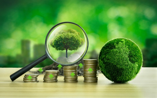 Tree,In,Magnifying,Glass,And,Green,Globe,Green,Business,Ideas