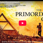 Primordial code